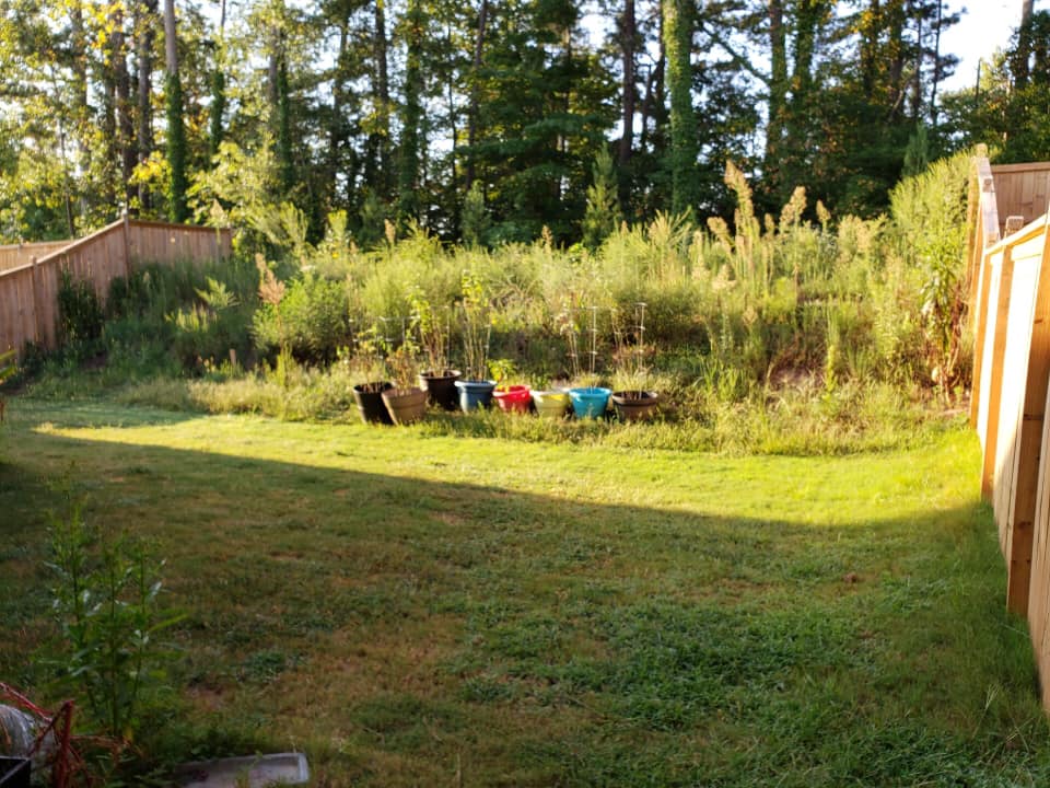 Before Backyard Makeover – Acworth